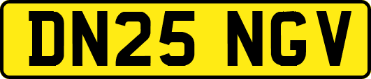 DN25NGV
