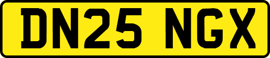 DN25NGX