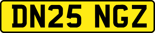 DN25NGZ