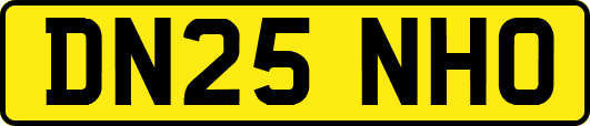 DN25NHO
