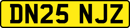 DN25NJZ