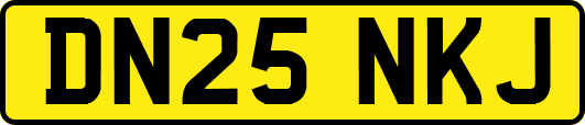 DN25NKJ