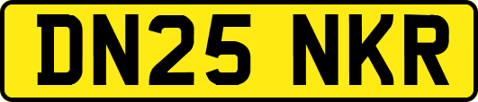 DN25NKR