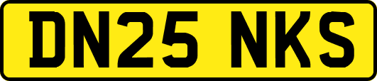 DN25NKS