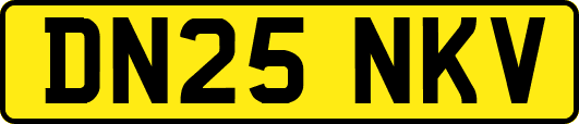 DN25NKV