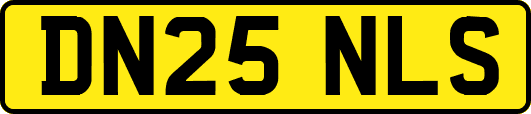 DN25NLS