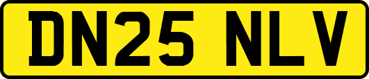 DN25NLV