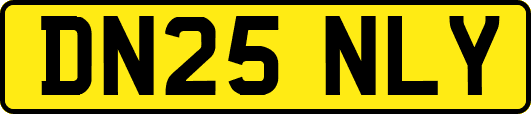 DN25NLY