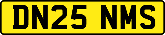 DN25NMS