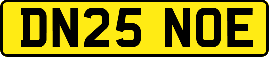 DN25NOE