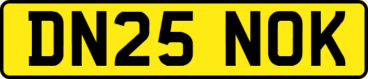 DN25NOK