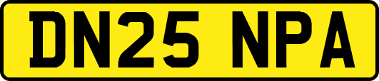 DN25NPA