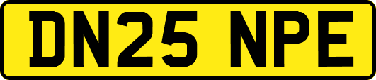 DN25NPE