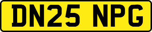 DN25NPG