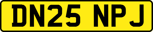 DN25NPJ