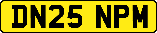 DN25NPM