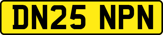 DN25NPN