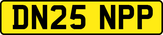 DN25NPP