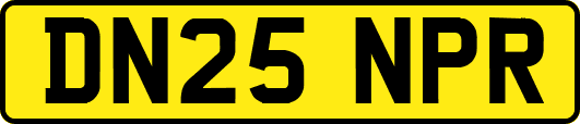 DN25NPR