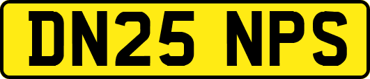 DN25NPS