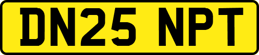 DN25NPT