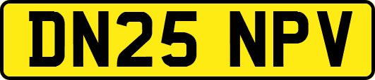 DN25NPV