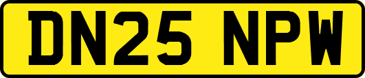 DN25NPW