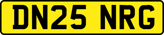 DN25NRG