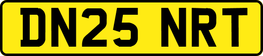 DN25NRT