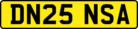 DN25NSA