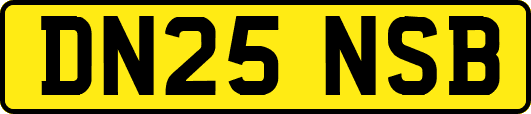 DN25NSB