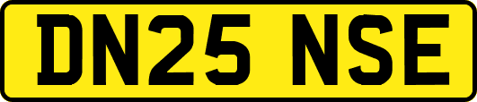 DN25NSE