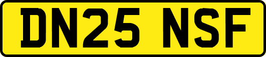 DN25NSF