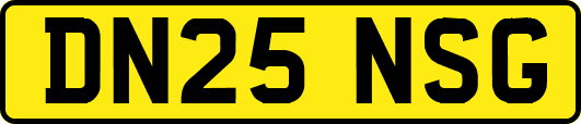 DN25NSG