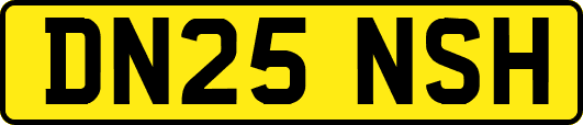 DN25NSH