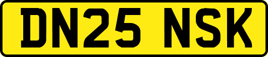 DN25NSK
