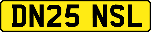 DN25NSL