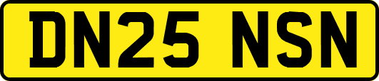DN25NSN