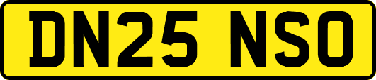 DN25NSO