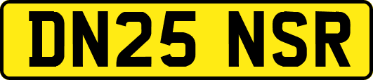 DN25NSR