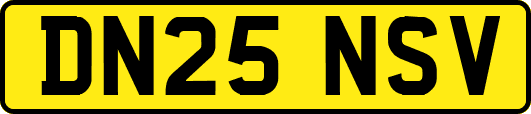 DN25NSV