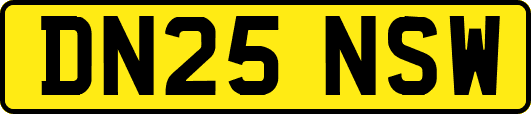 DN25NSW