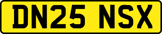 DN25NSX