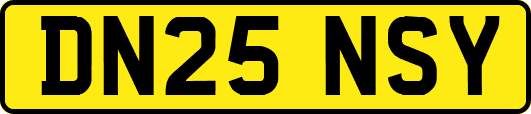 DN25NSY