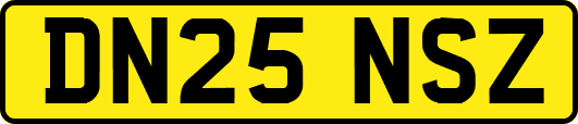 DN25NSZ