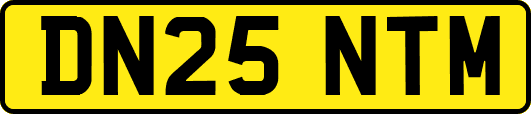 DN25NTM