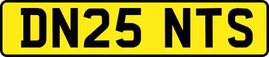 DN25NTS