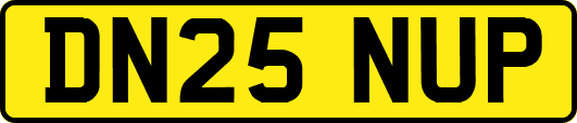 DN25NUP