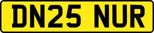 DN25NUR