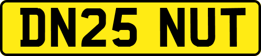 DN25NUT